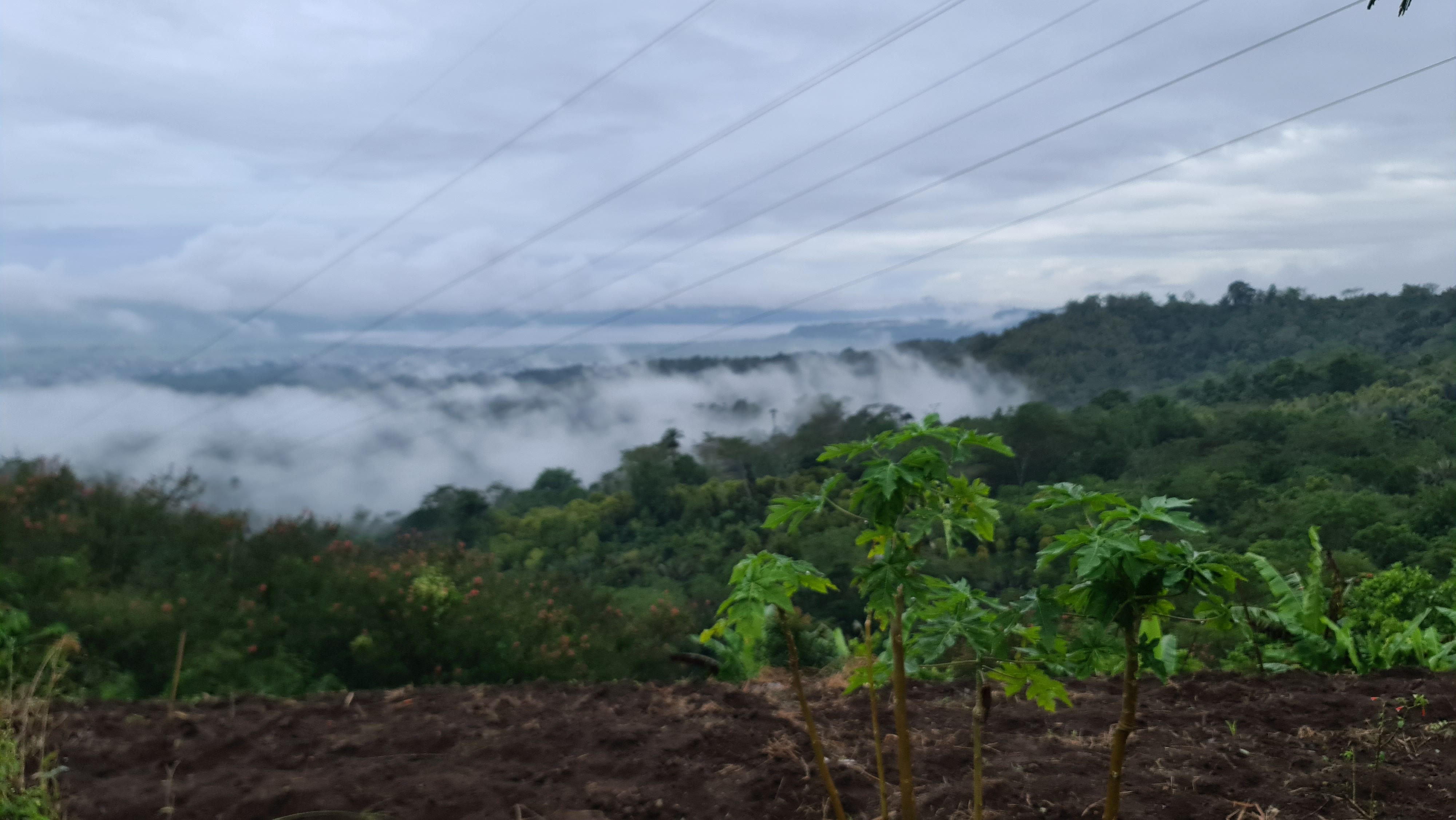 userImage-15