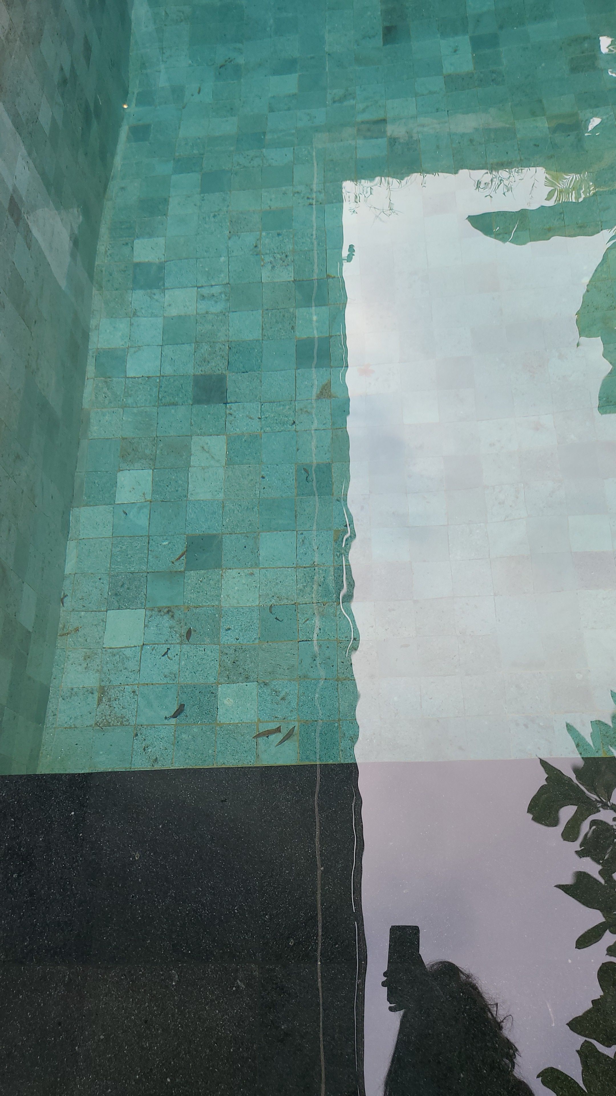 userImage-12
