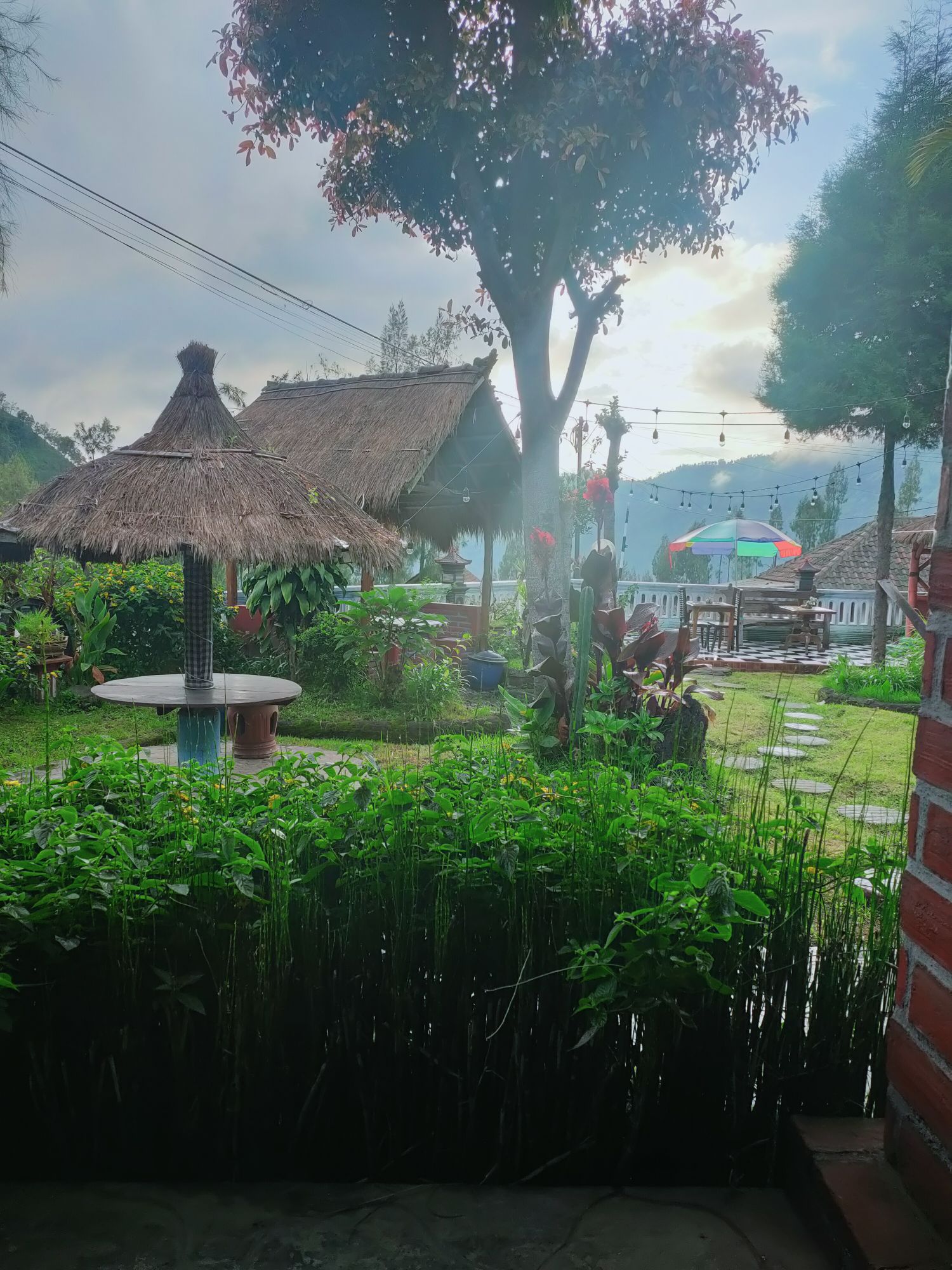 userImage-0
