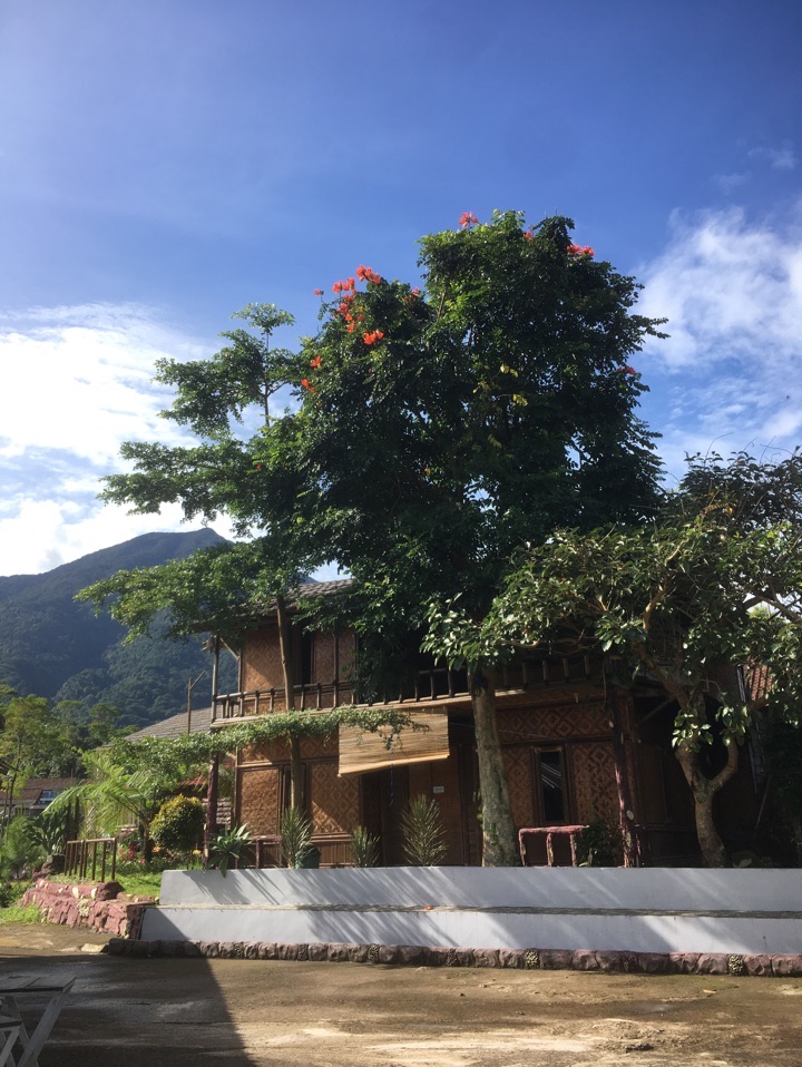 userImage-10