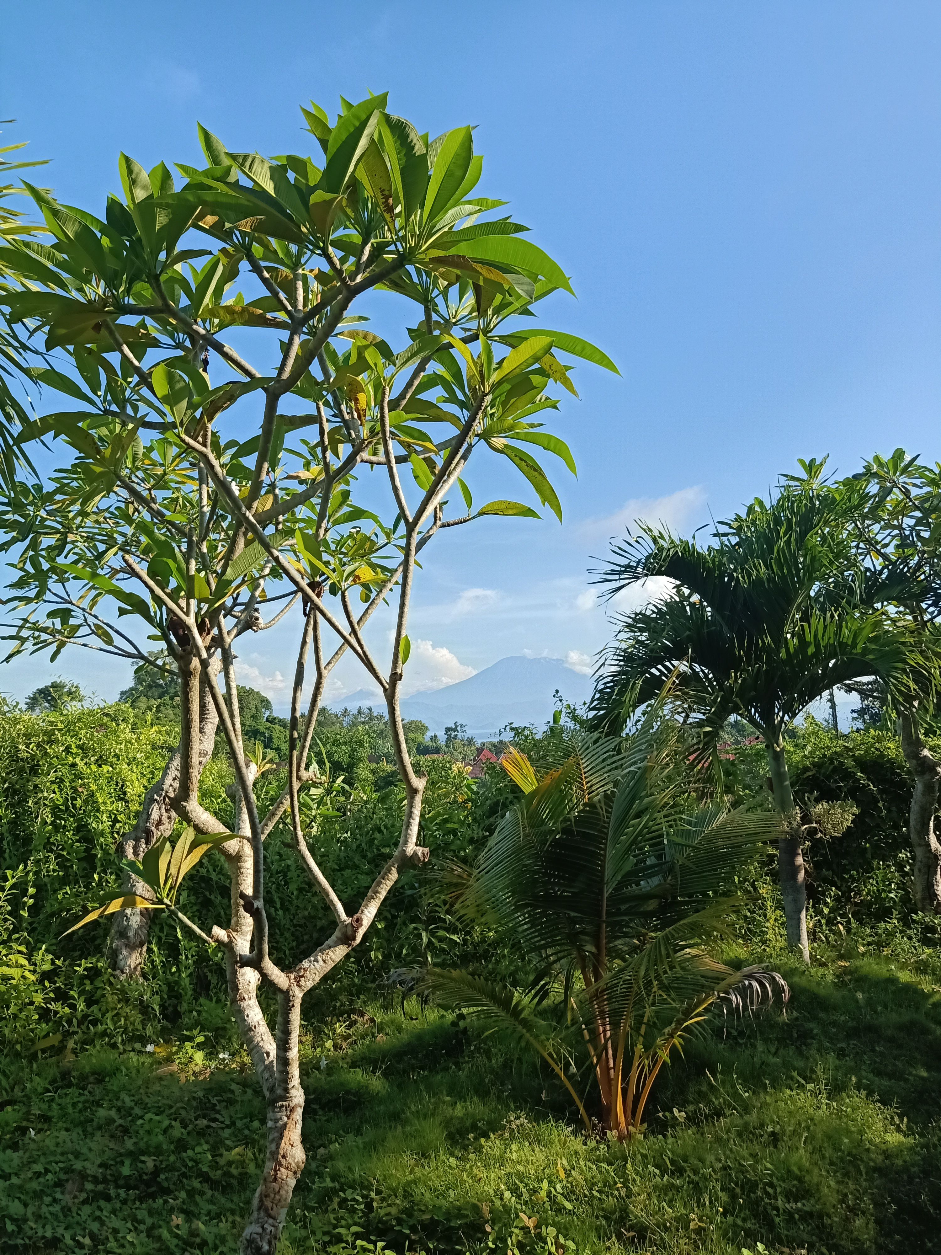userImage-2