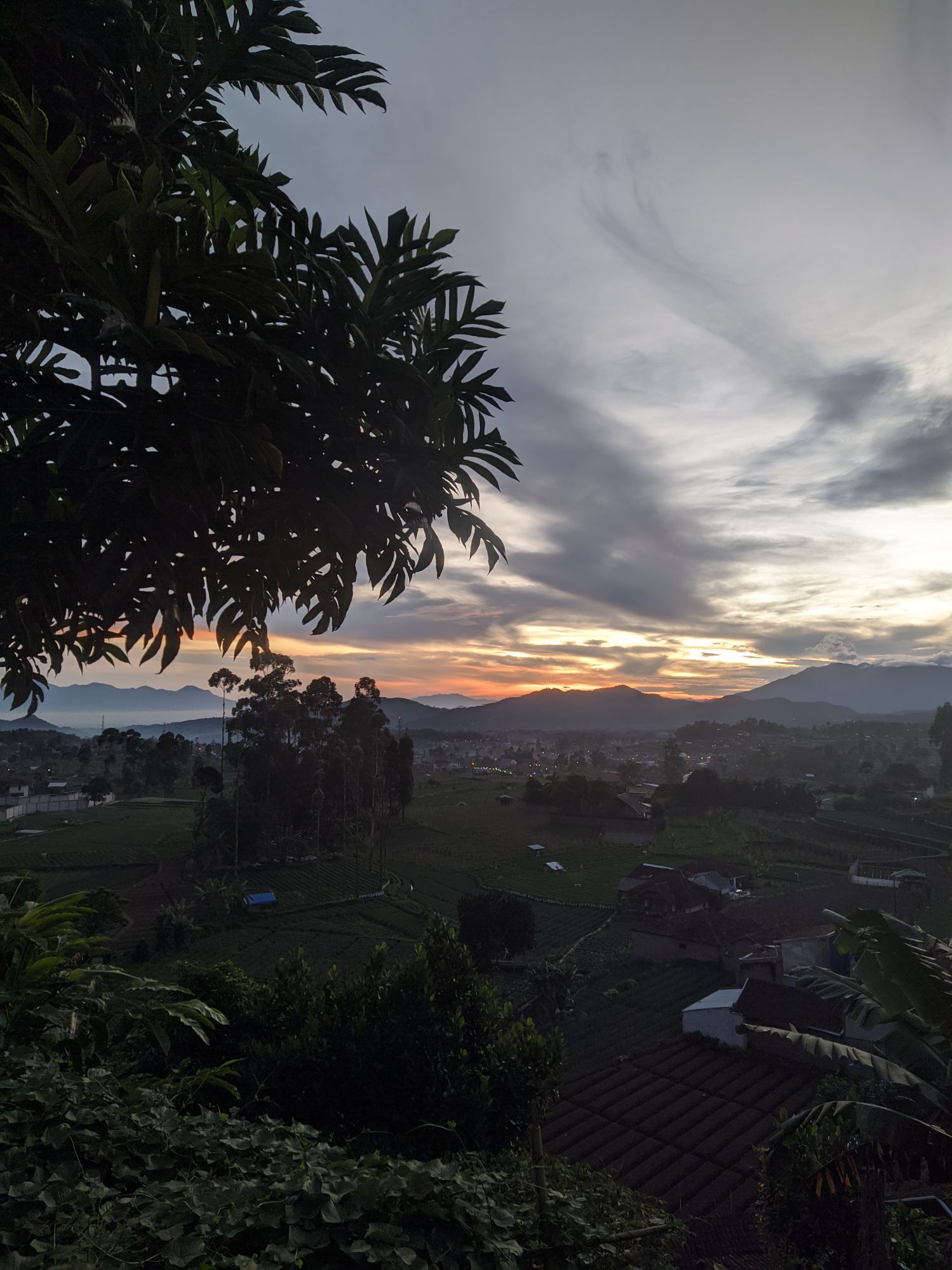 userImage-2