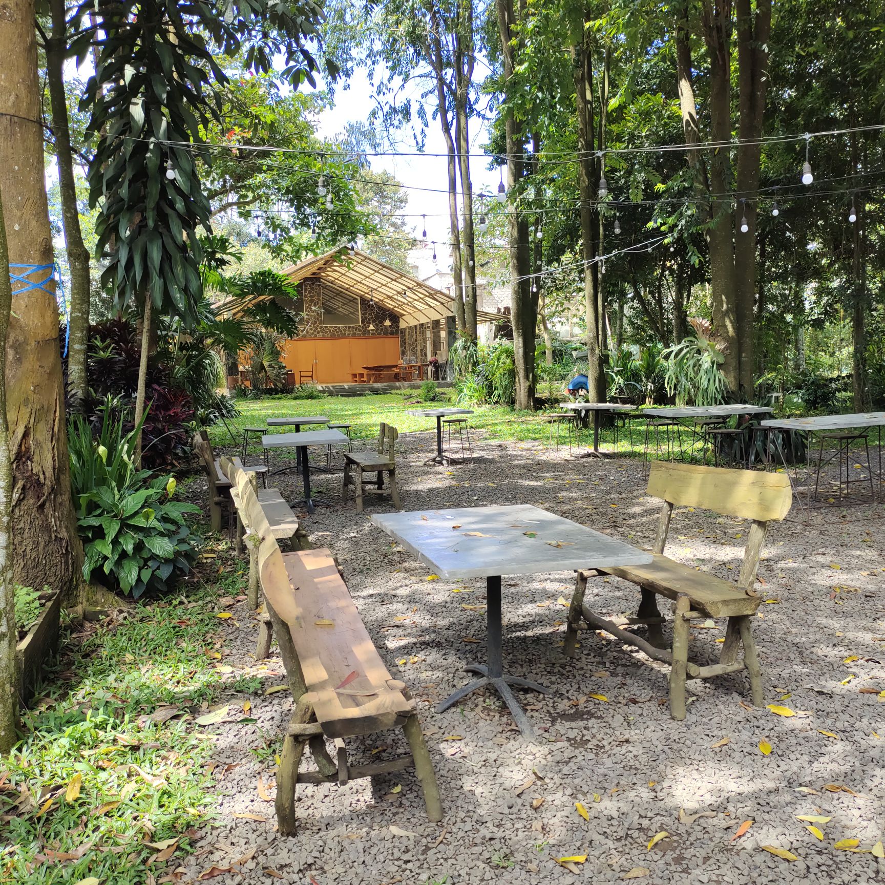 userImage-15