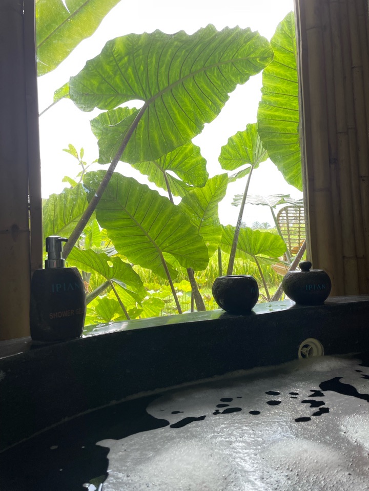 userImage-14