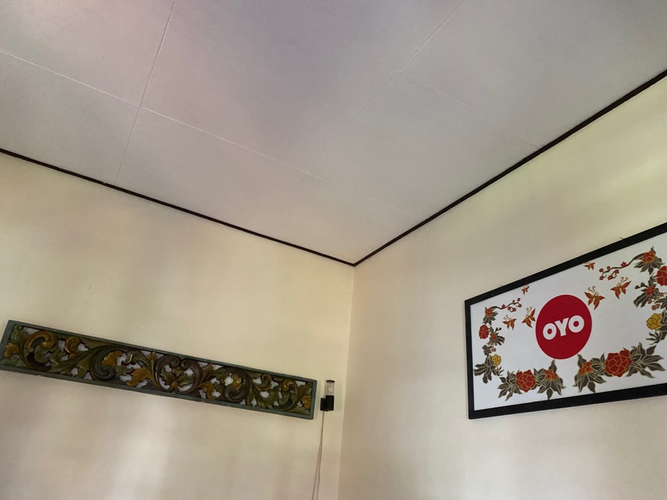 userImage-12