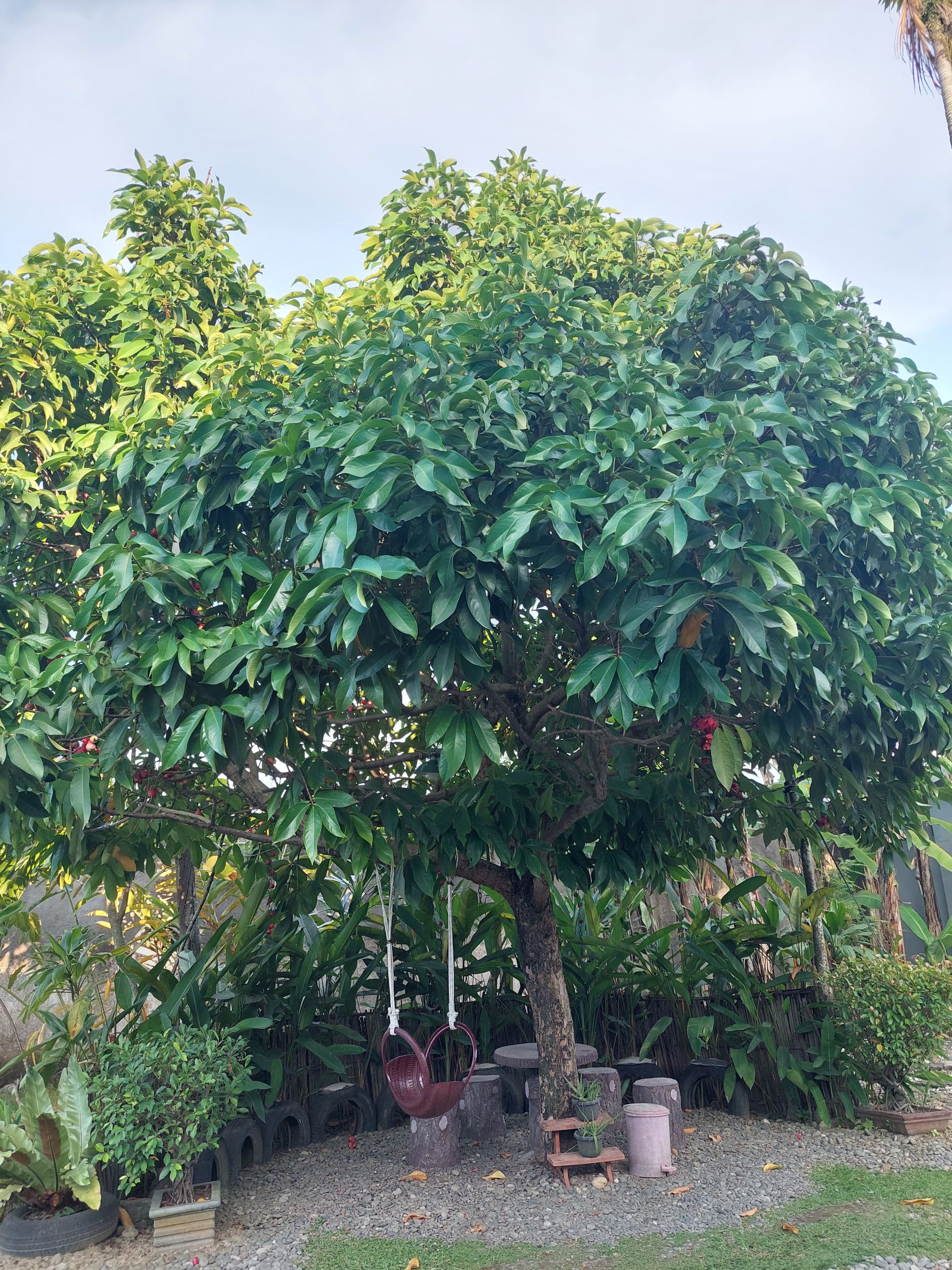 userImage-9