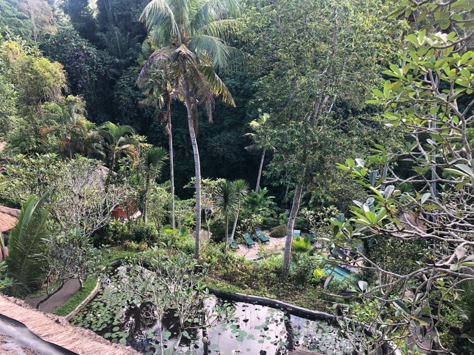 userImage-11
