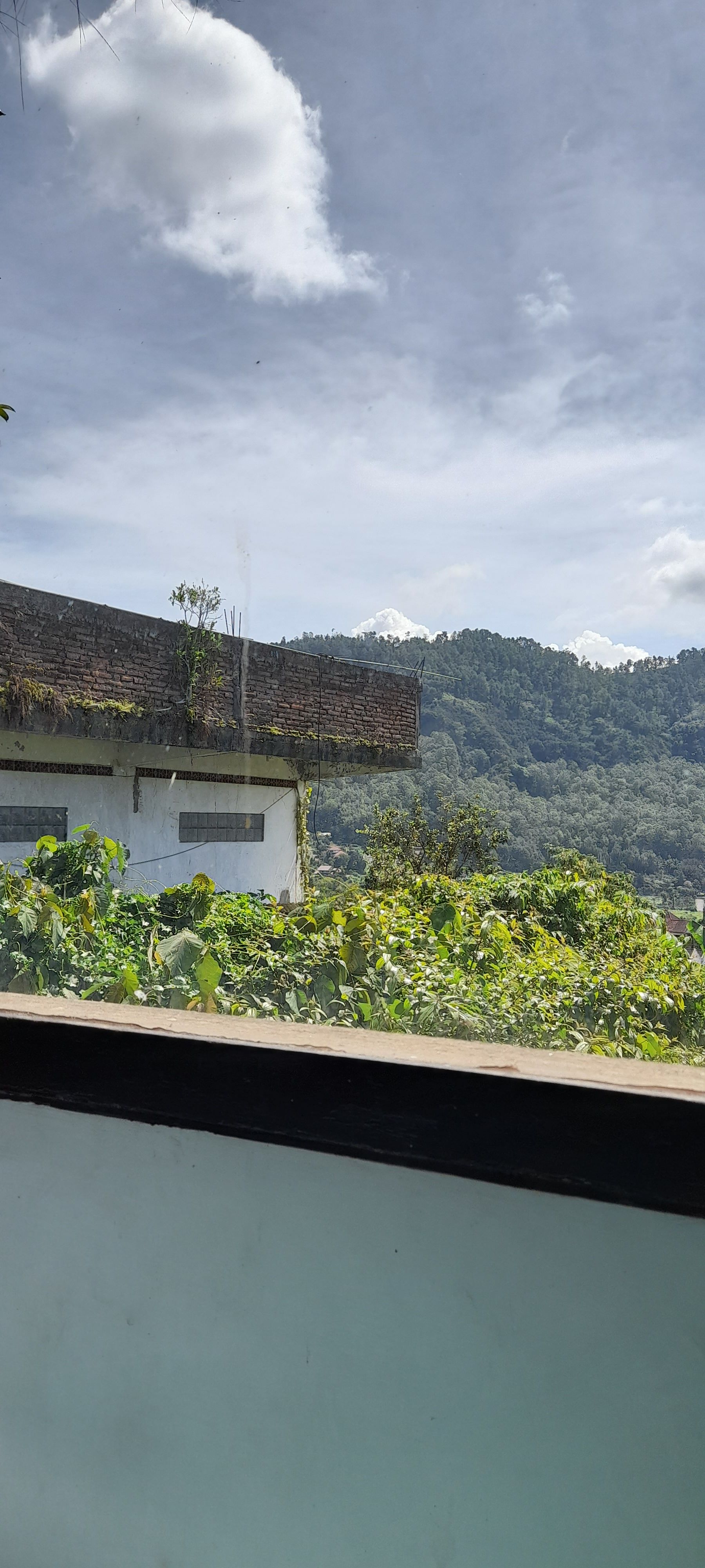 userImage-9