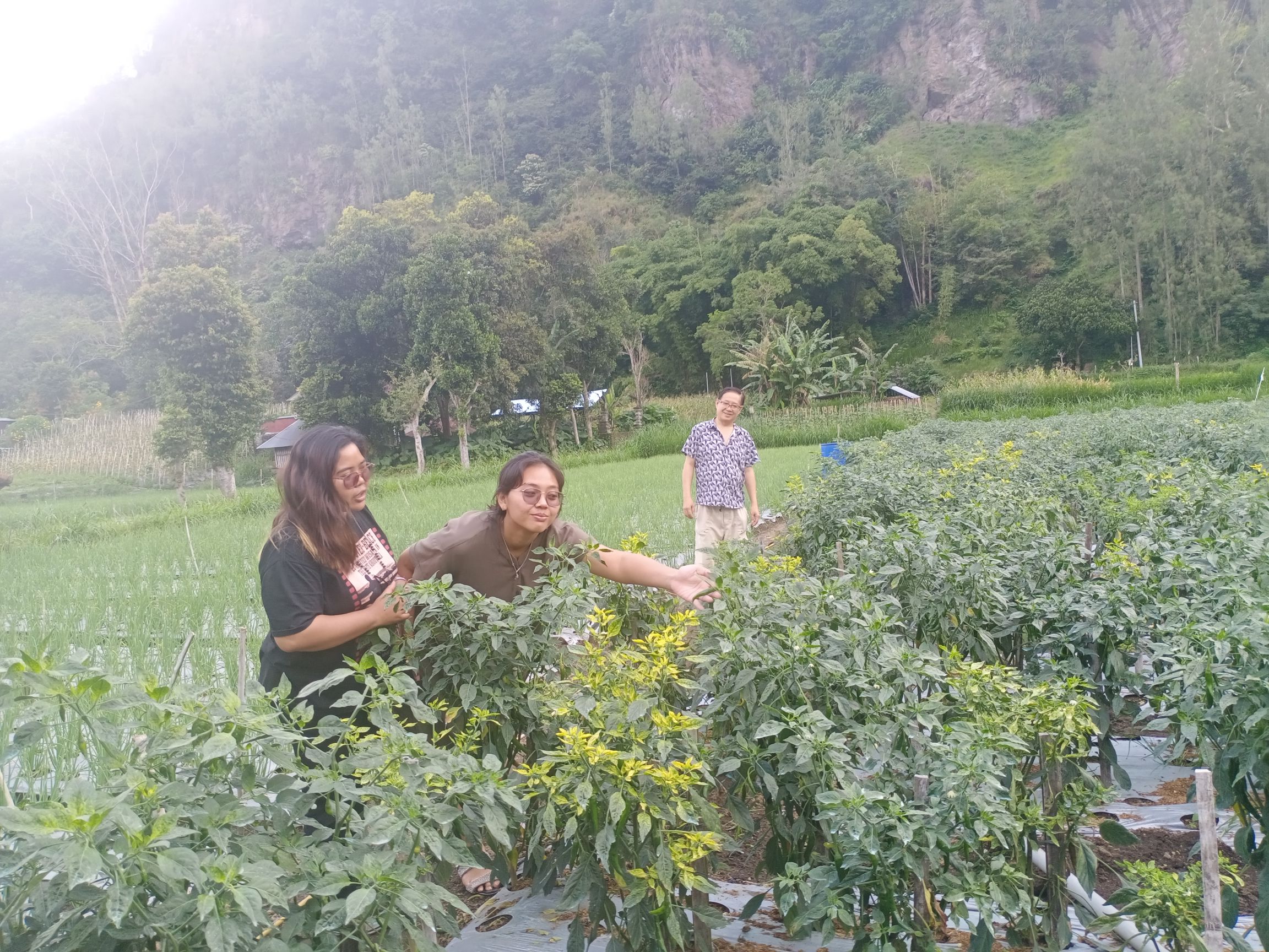 userImage-10