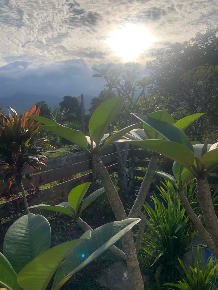 userImage-13