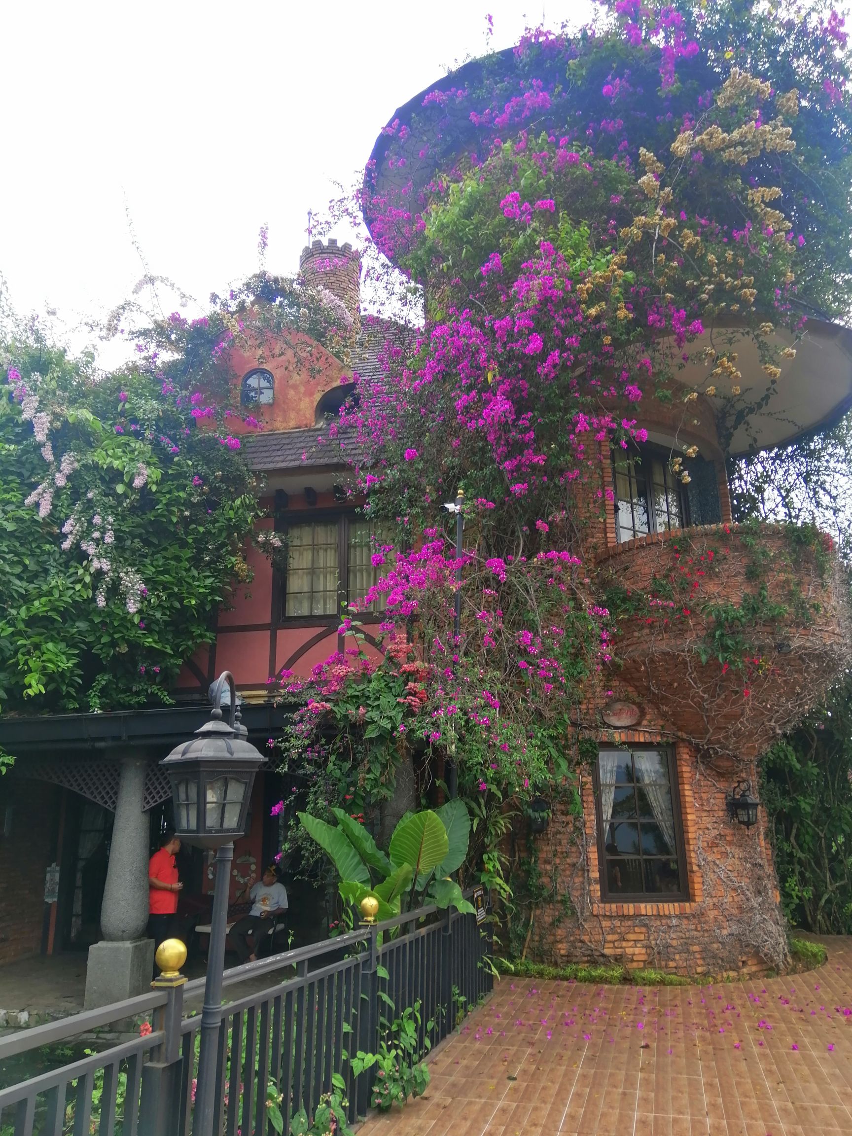 userImage-9