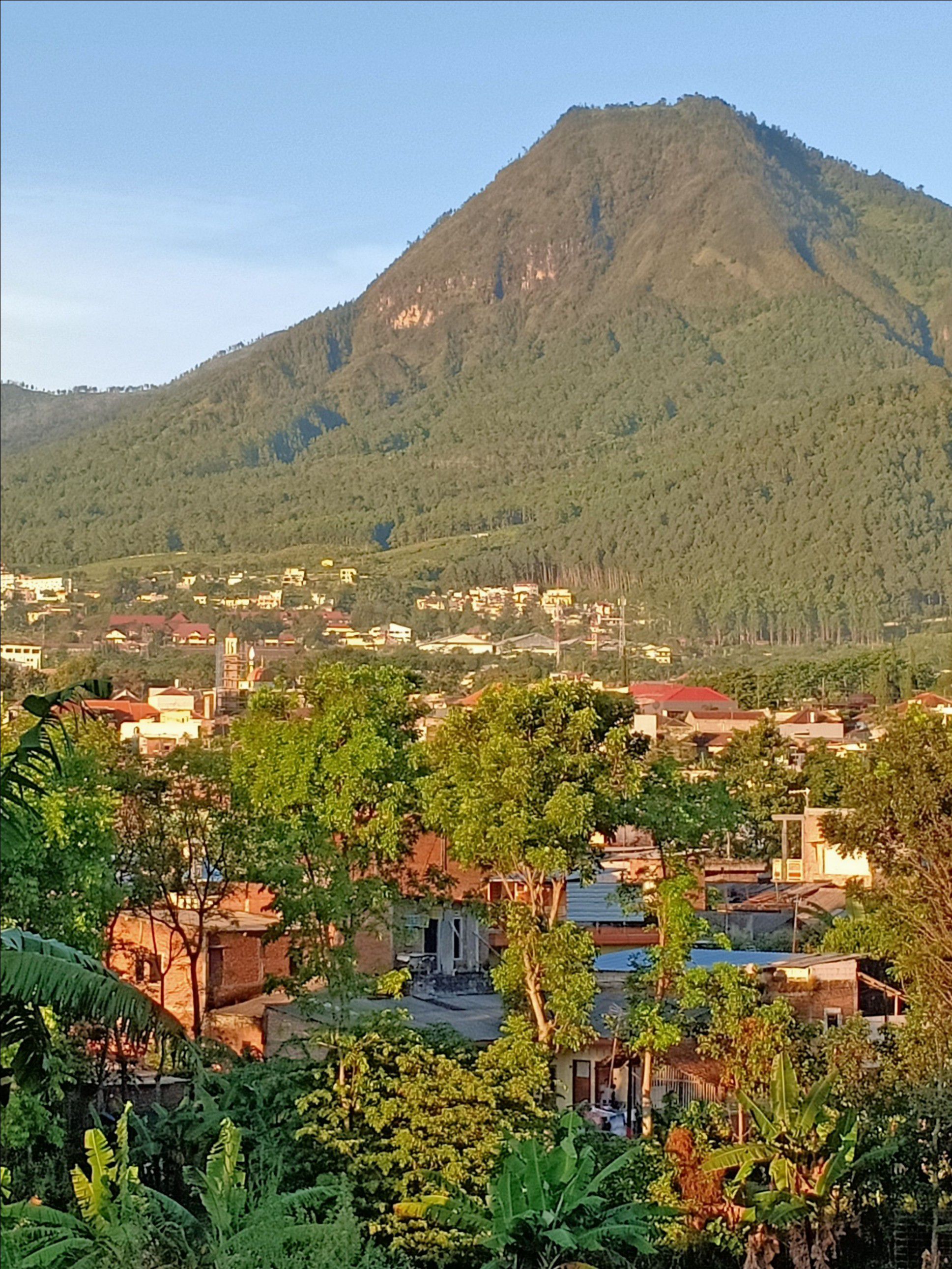 userImage-11