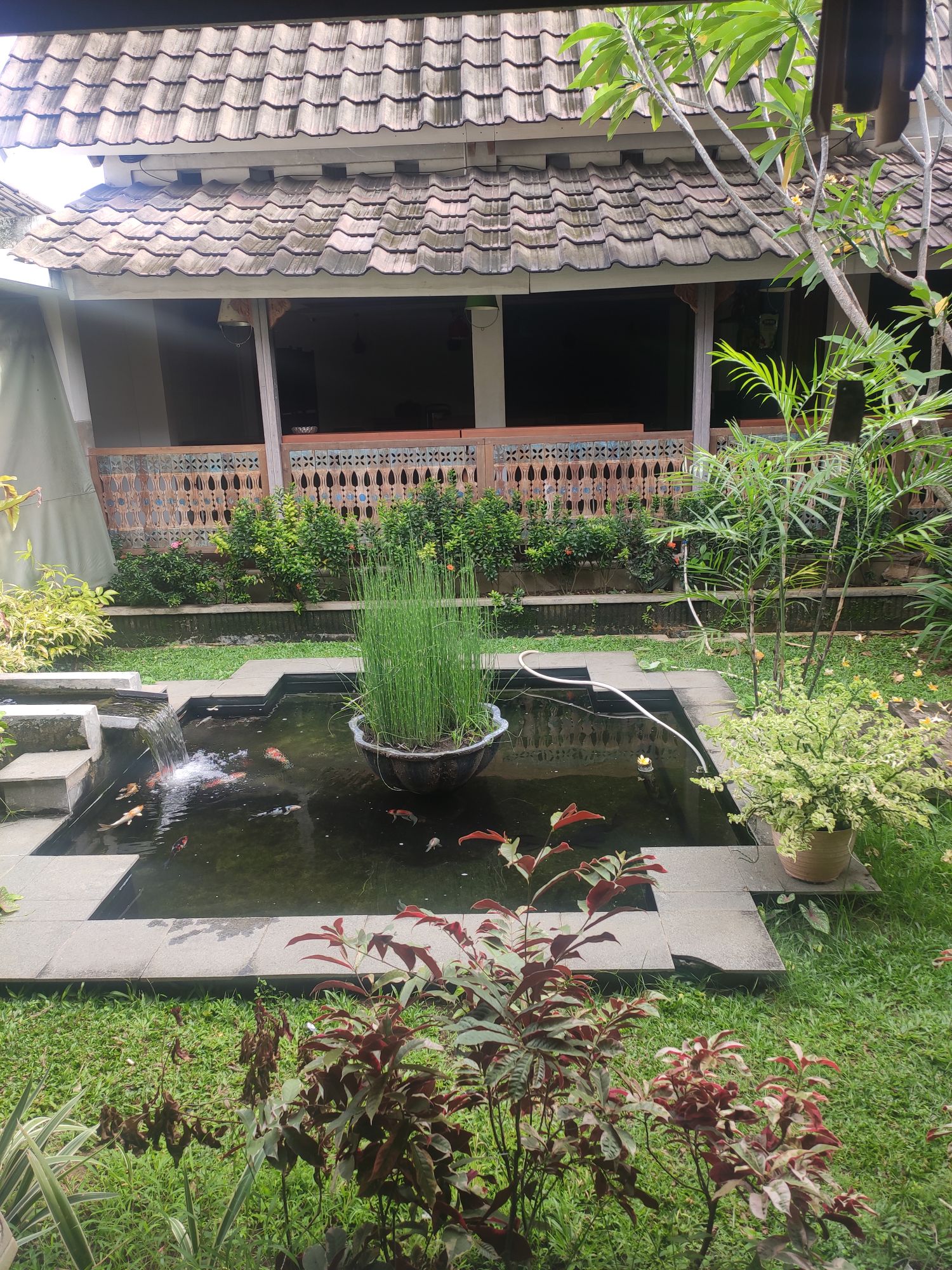 userImage-7