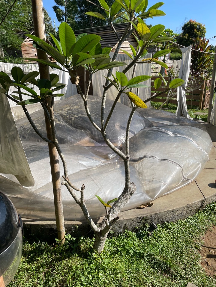 userImage-18