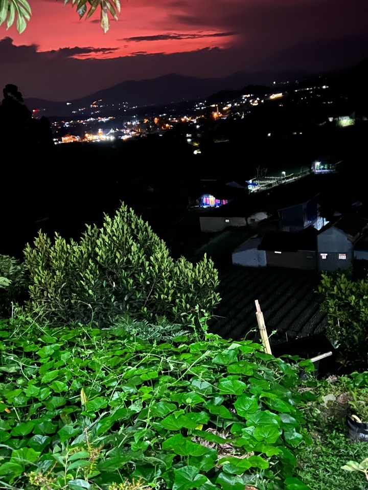 userImage-1