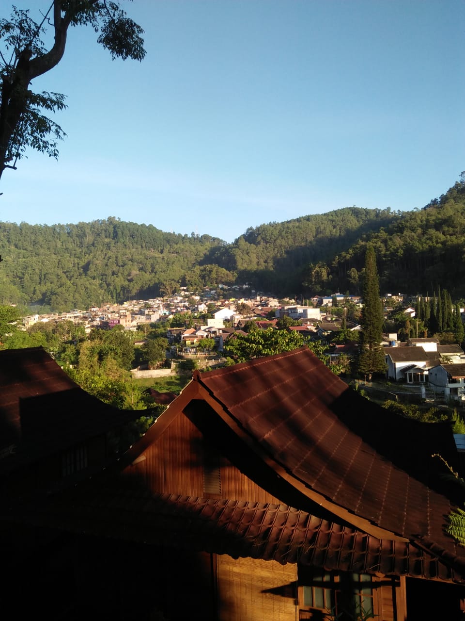 userImage-1
