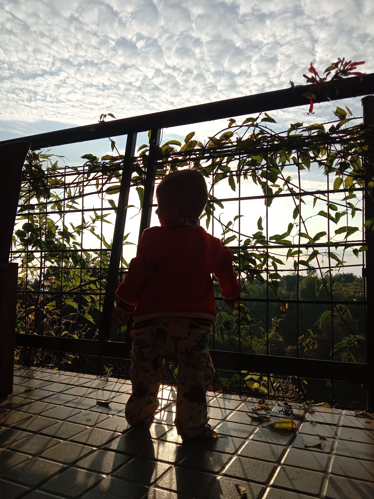 userImage-14