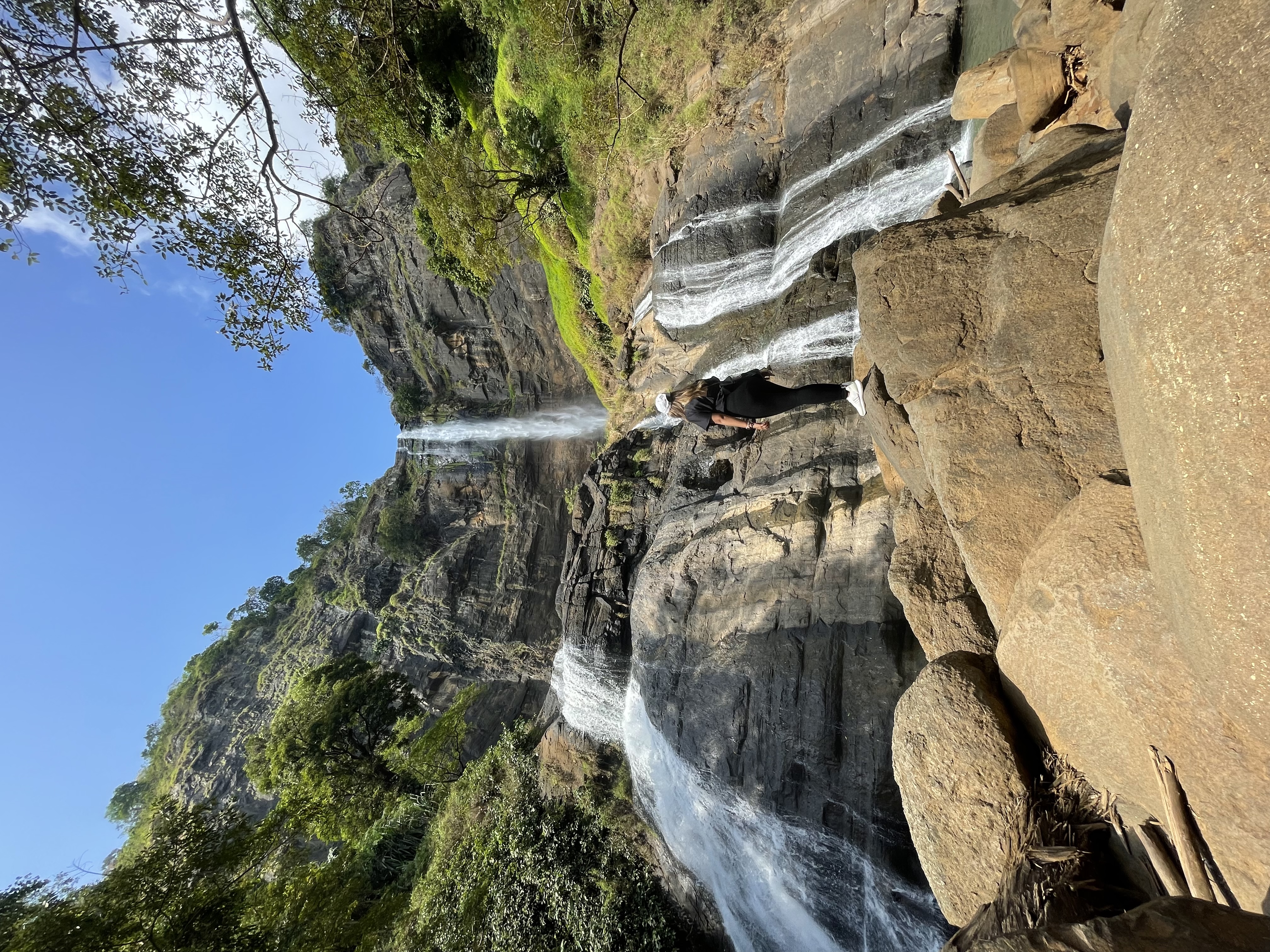 userImage-1