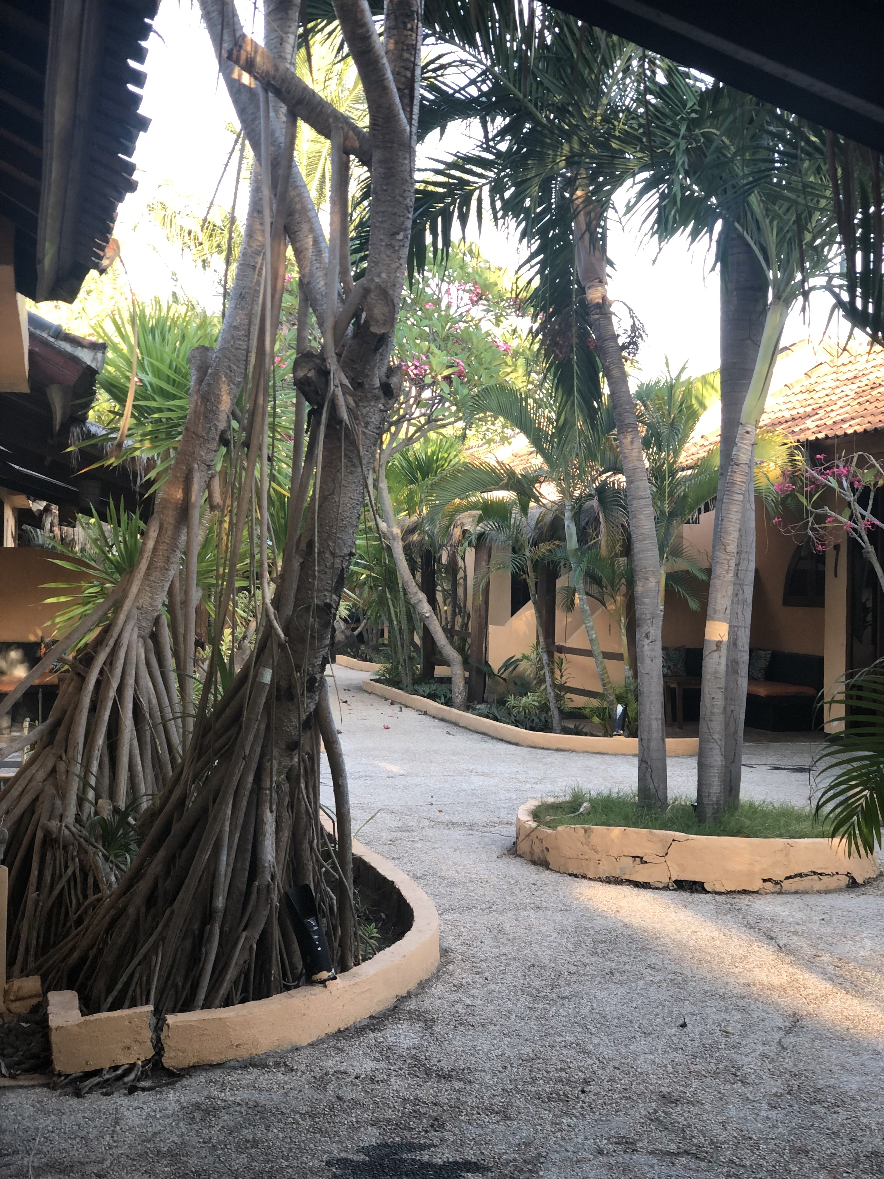 userImage-9