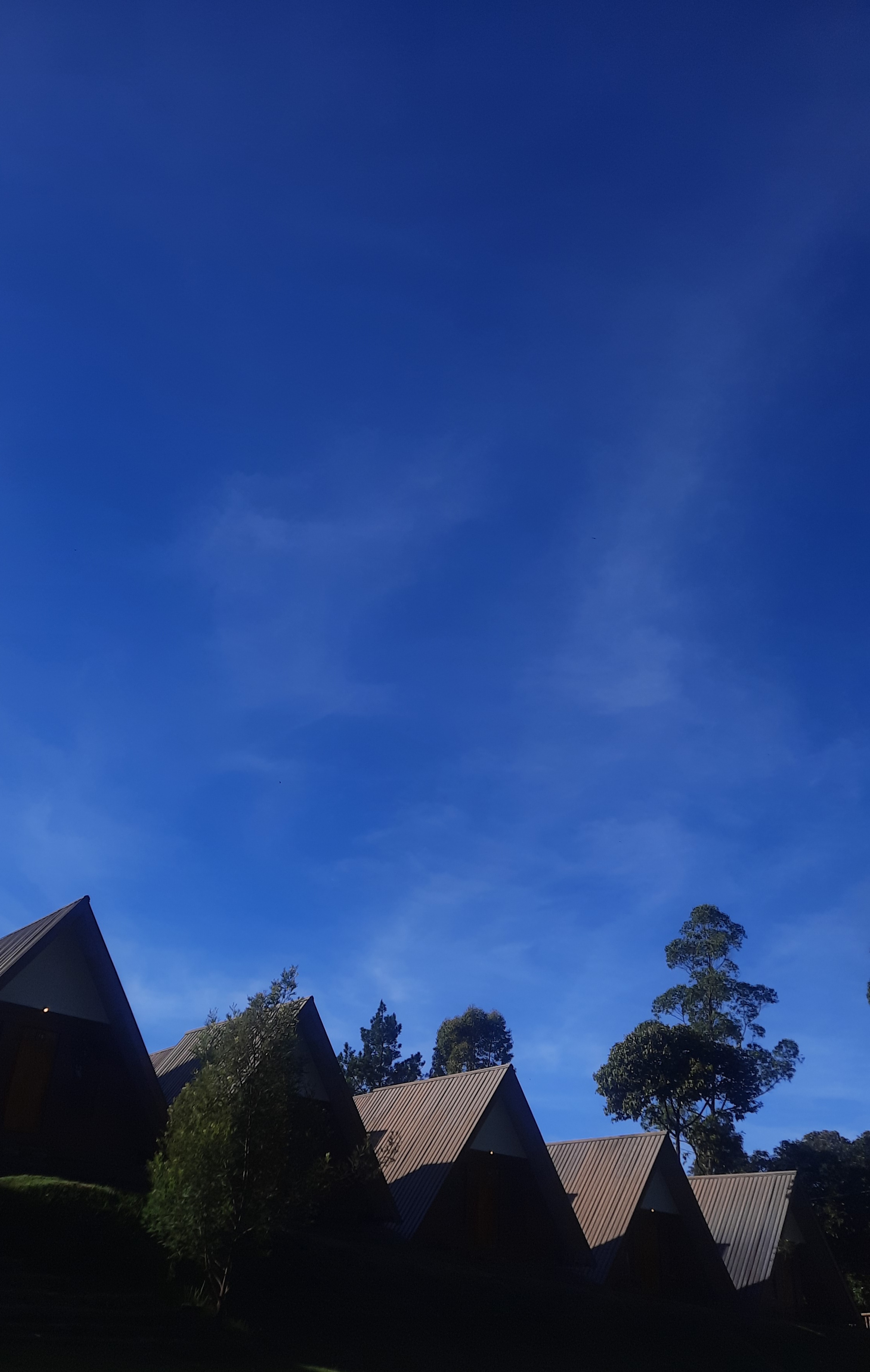 userImage-16