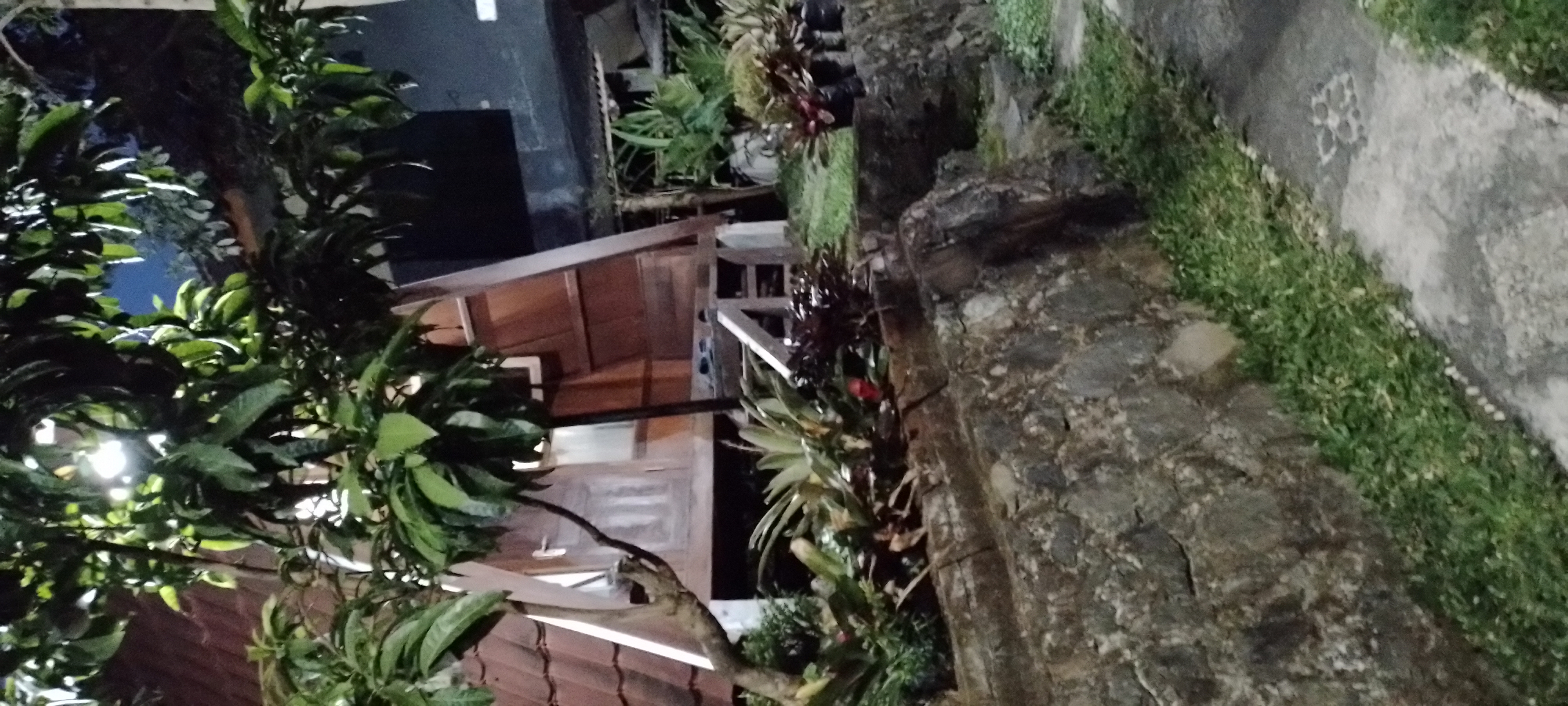 userImage-7