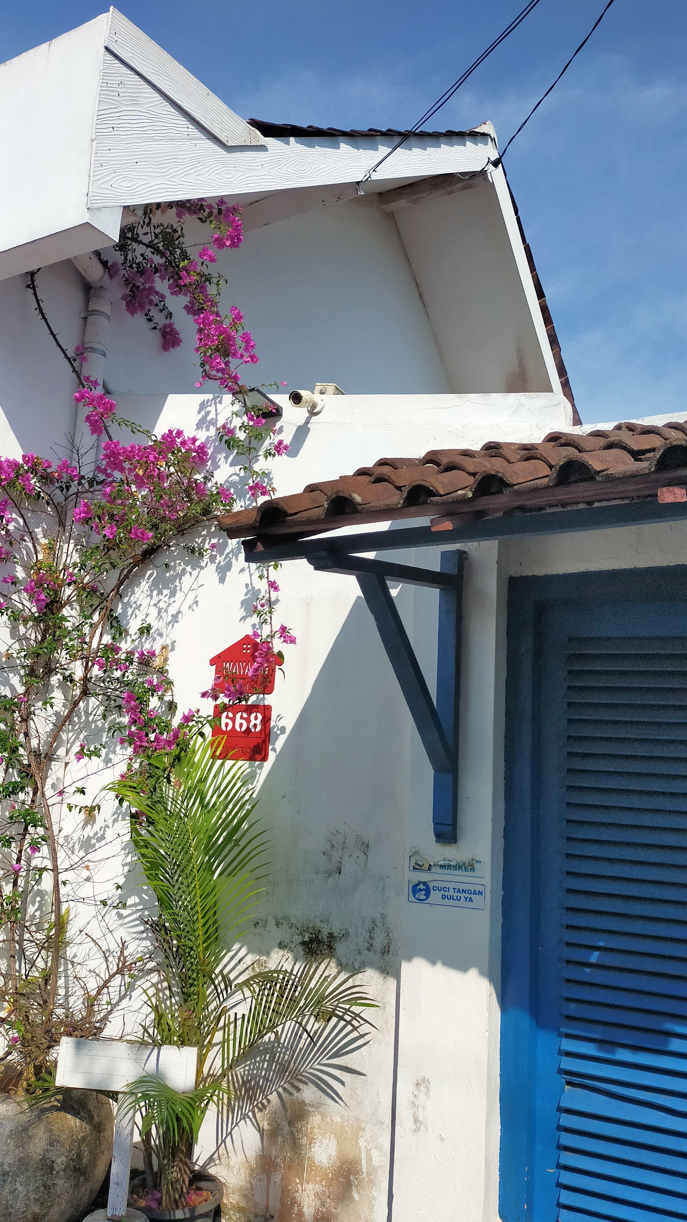 userImage-12