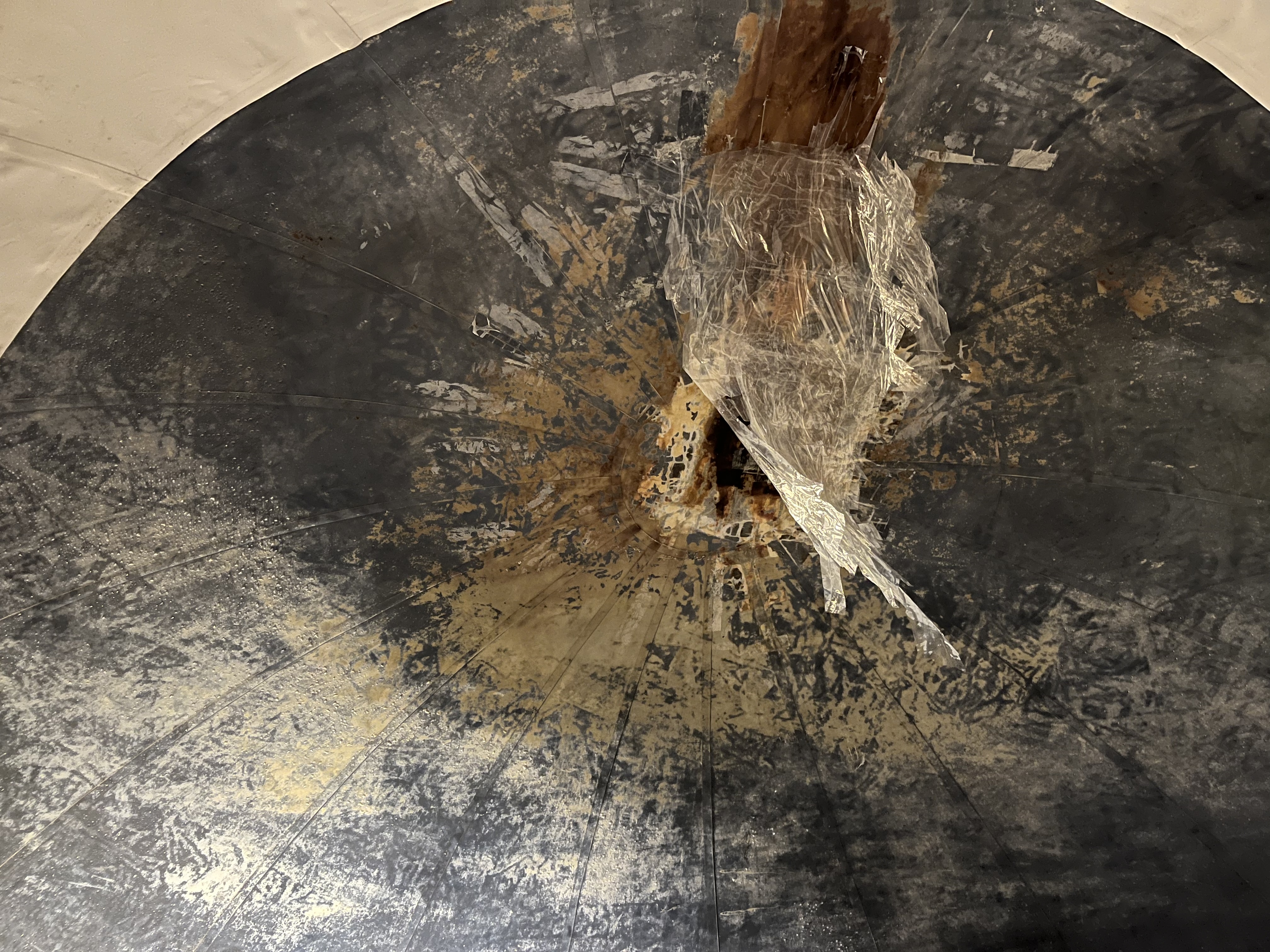 userImage-11