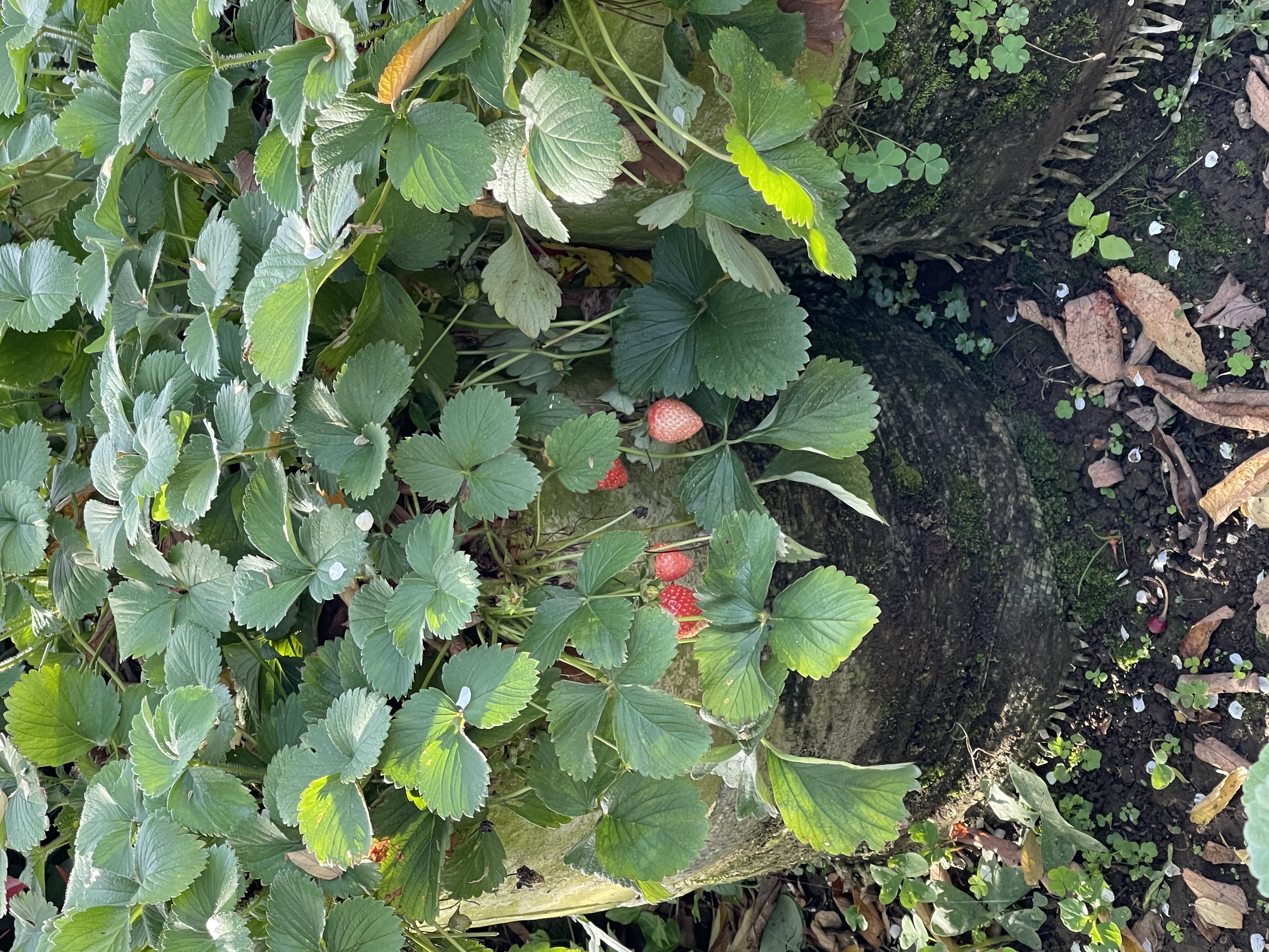 userImage-19