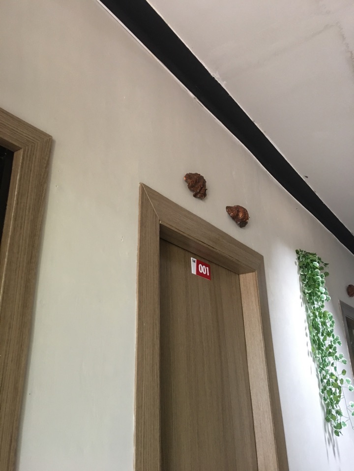 userImage-9