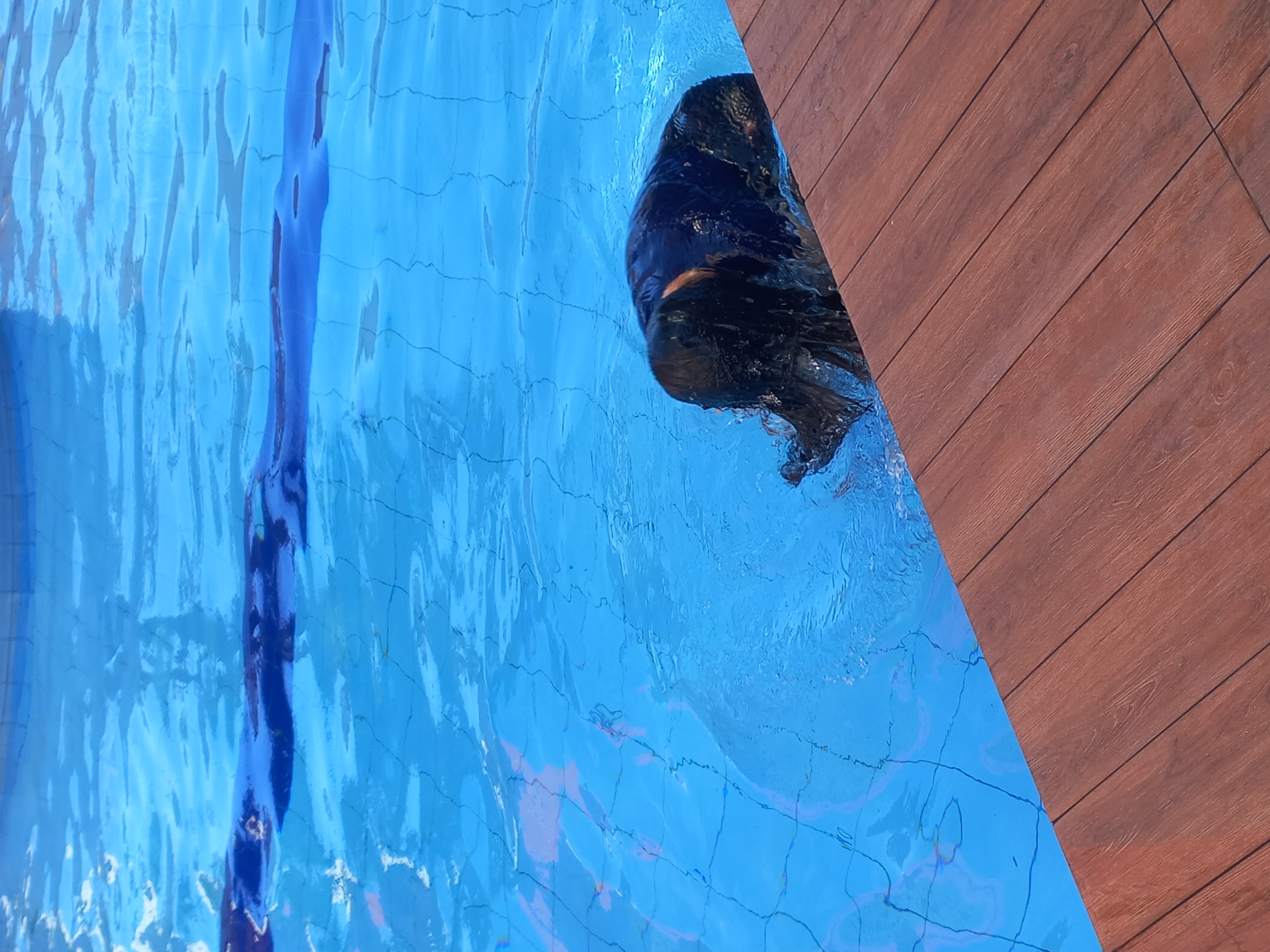 userImage-18