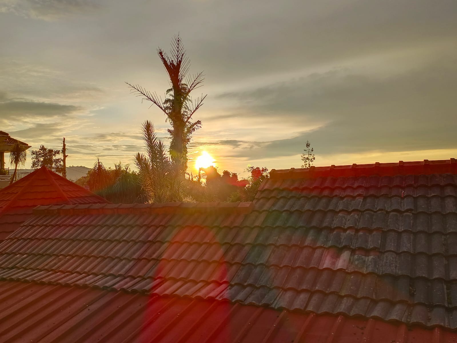 userImage-15