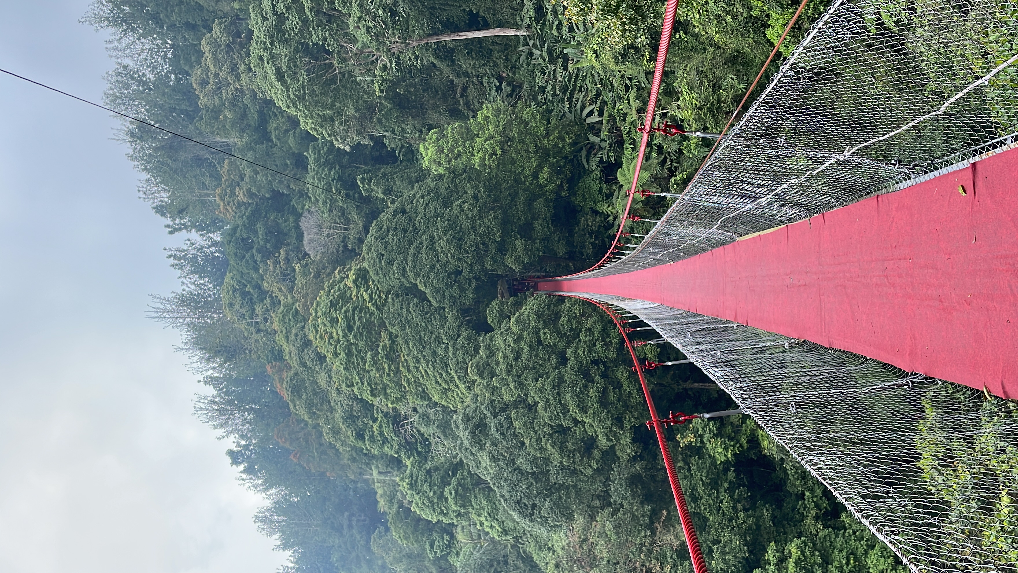userImage-4