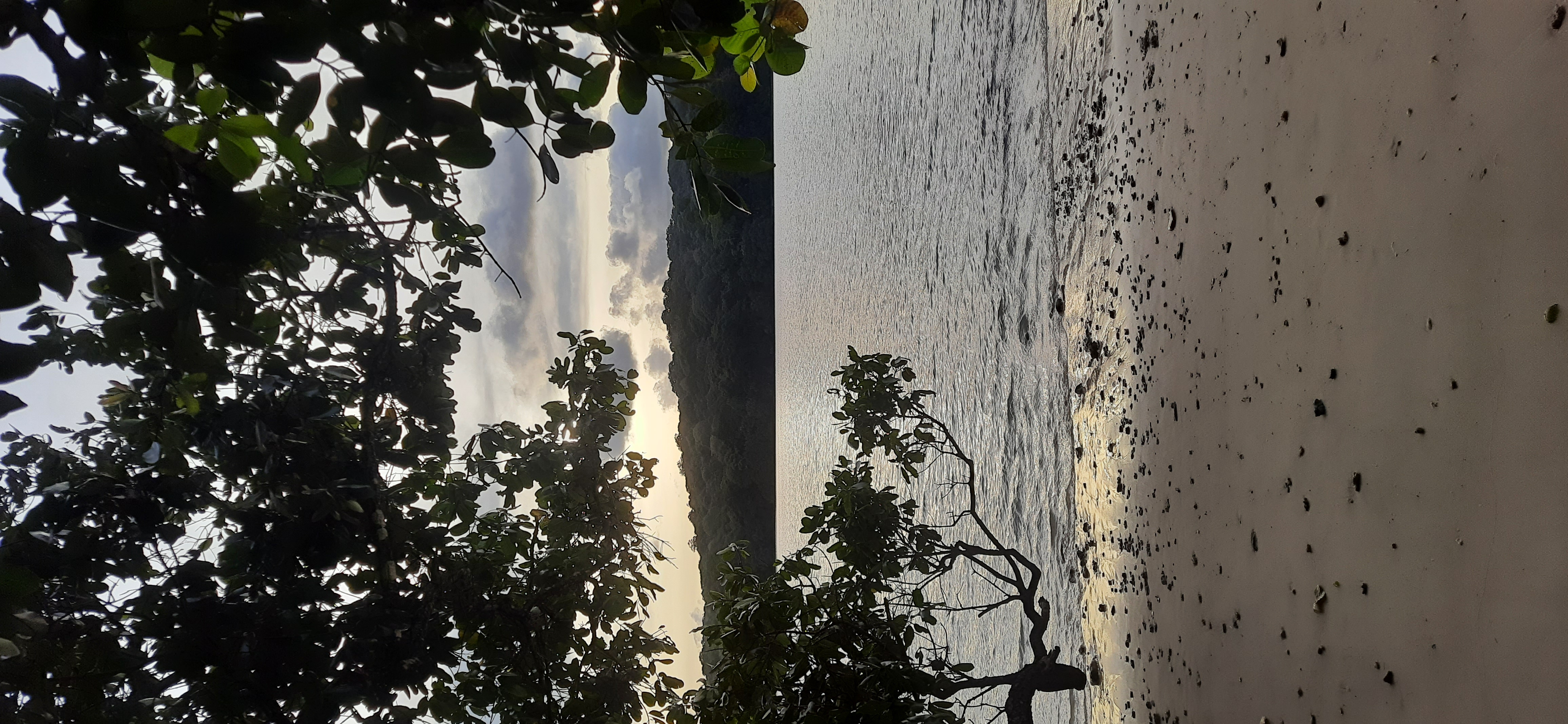 userImage-3