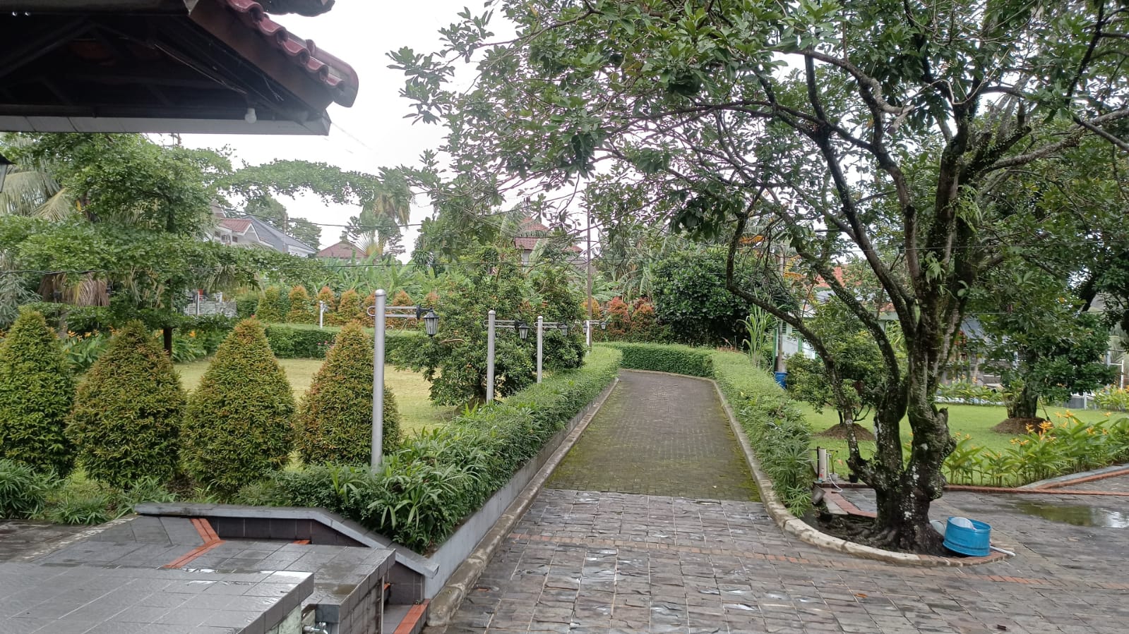 userImage-18