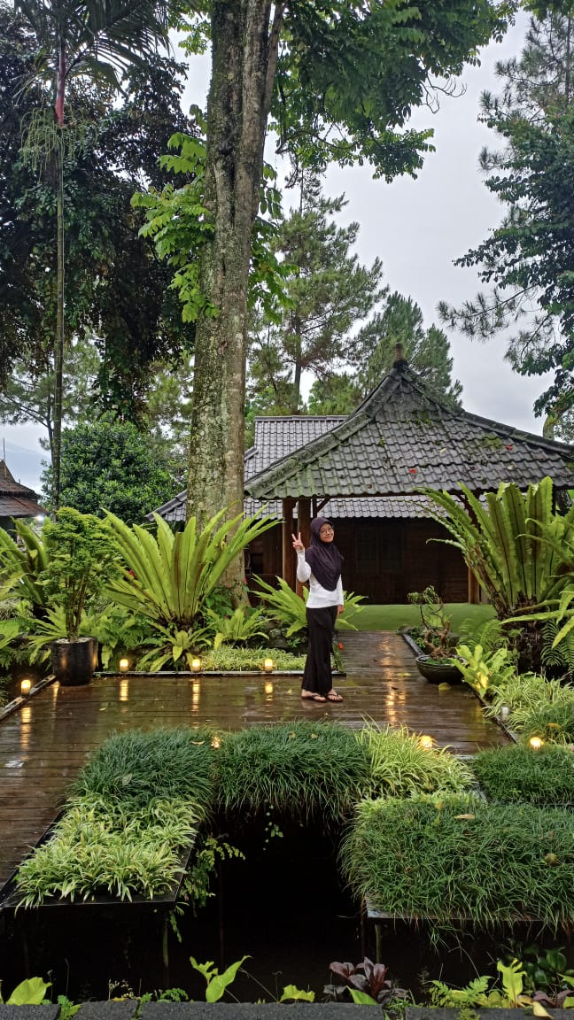 userImage-9