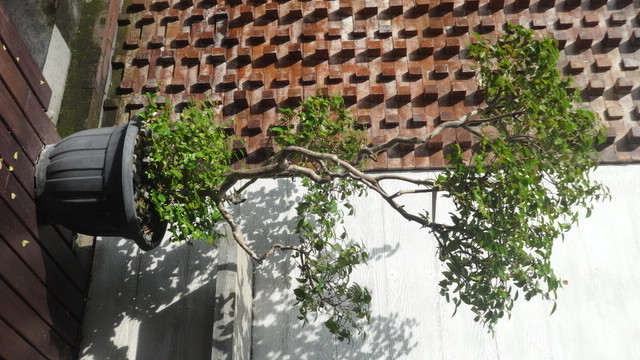 userImage-12