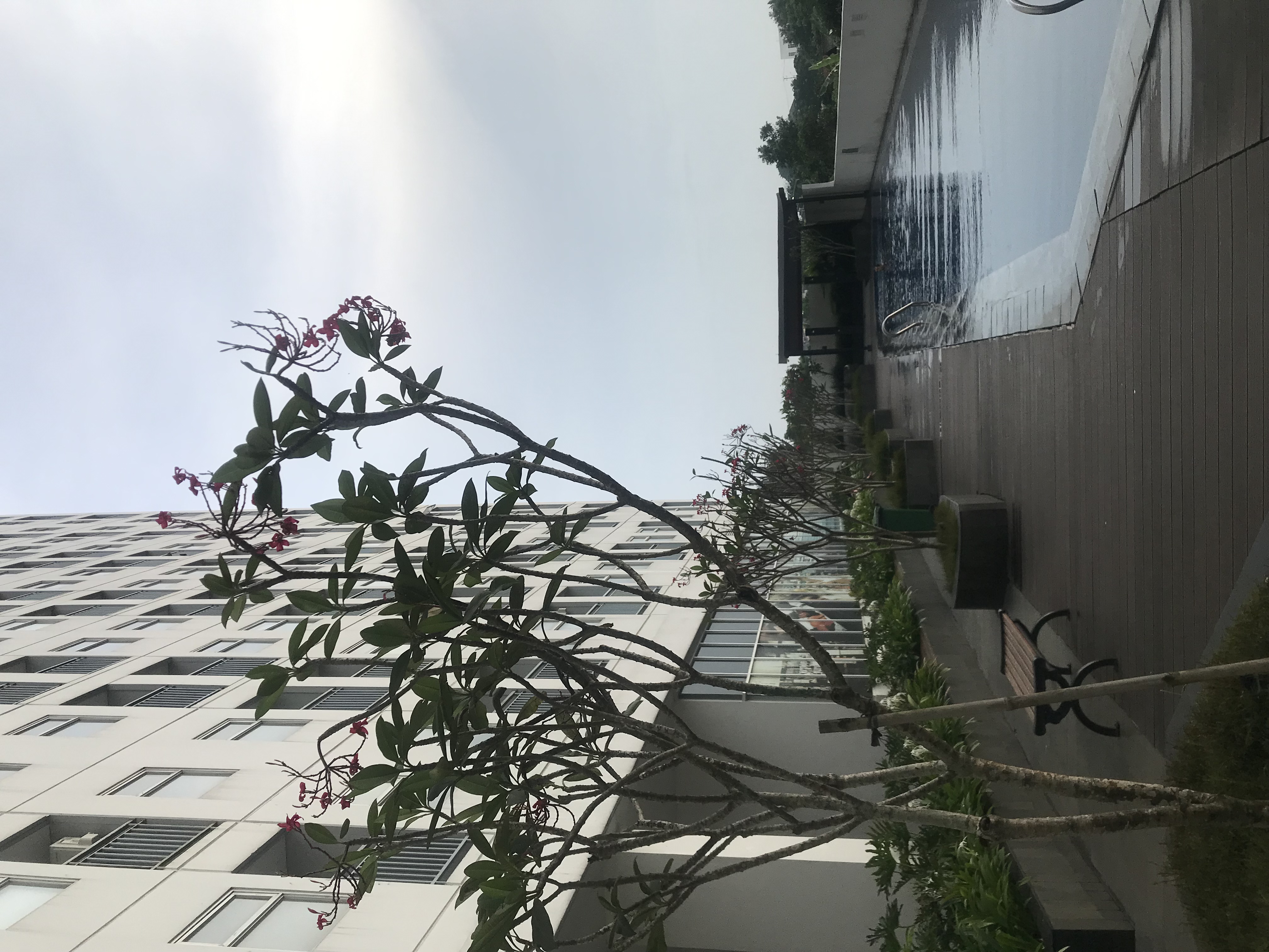 userImage-0