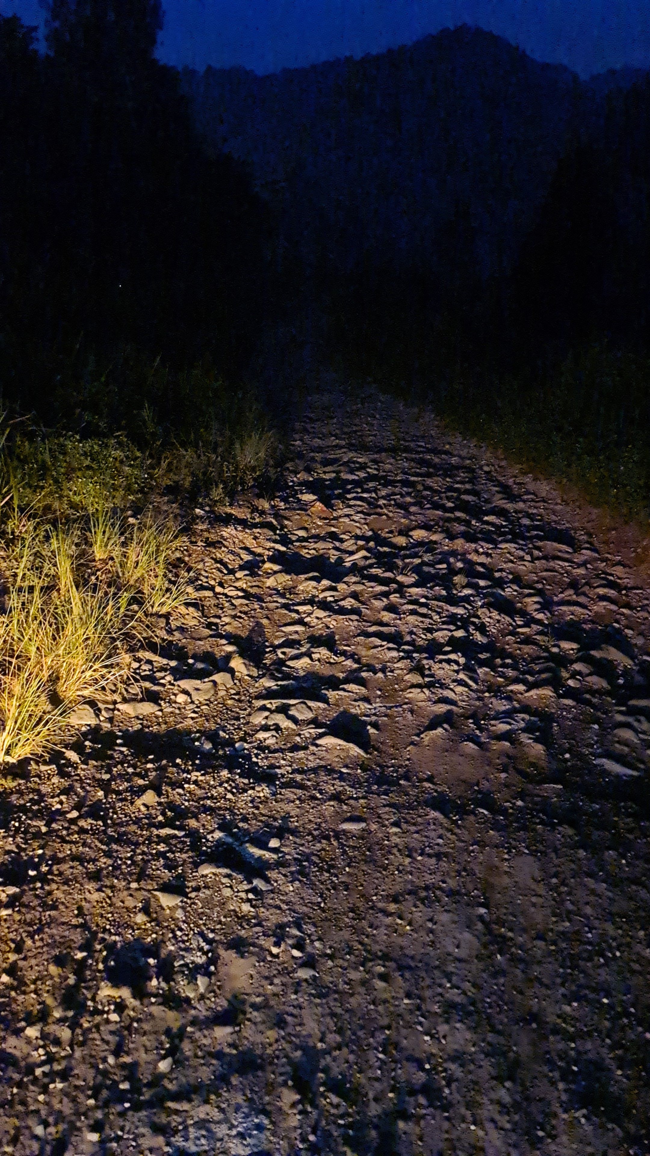 userImage-6