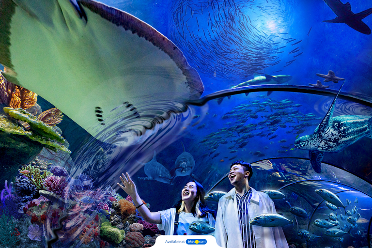 tiket sea world ancol.jpg