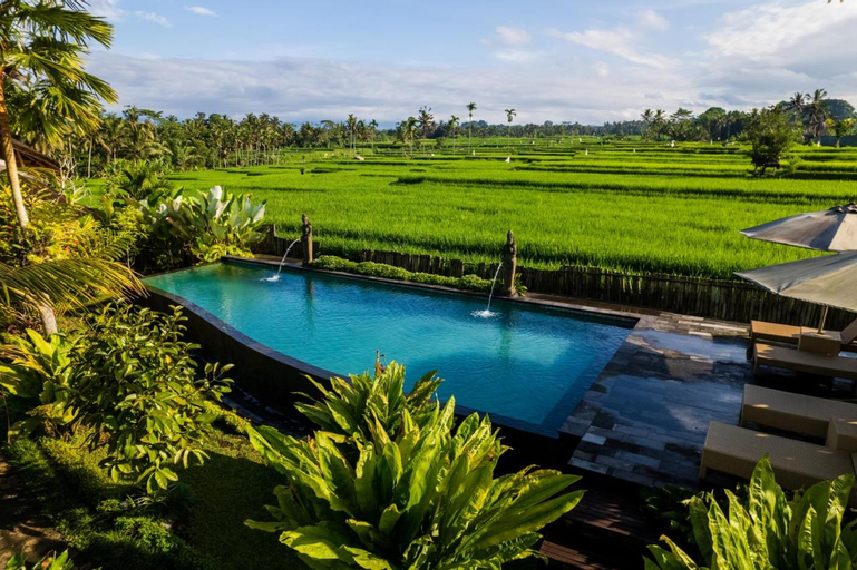 Padi Bali Eco Villas