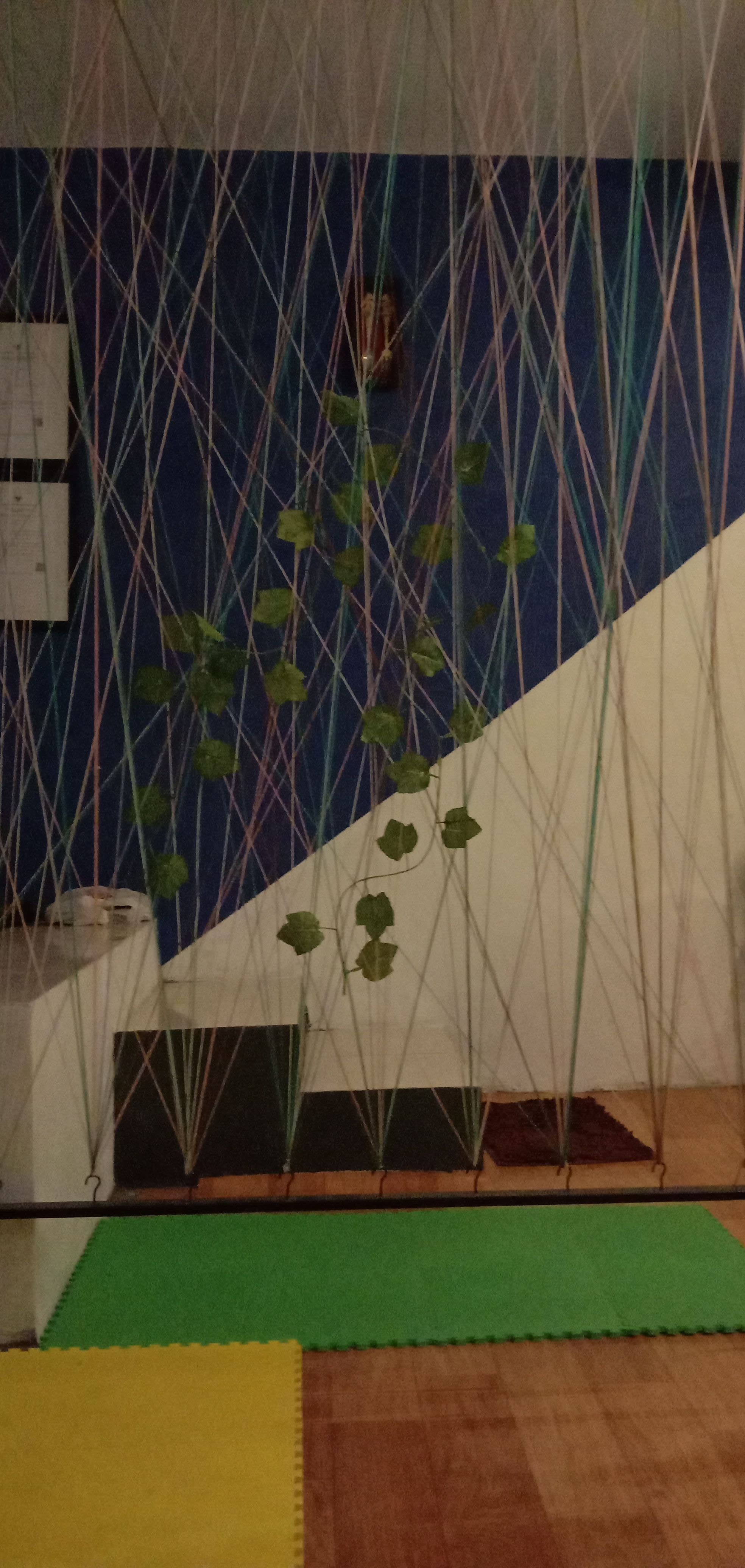 userImage-14