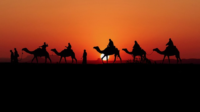 Objek Wisata Populer di Desert Safari #2: Sunset Point, Golden Hour, dan Foto Siluet di Gurun