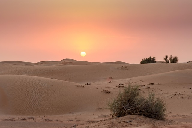 Objek Wisata Populer di Desert Safari #1: Dune Merah Lahbab untuk Dune Bashing dan Sandboarding