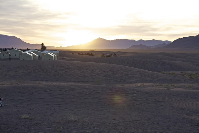 Objek Wisata Populer di Desert Safari #3: Desert Camp Bergaya Oasis untuk Malam Gurun dan Hiburan Keluarga