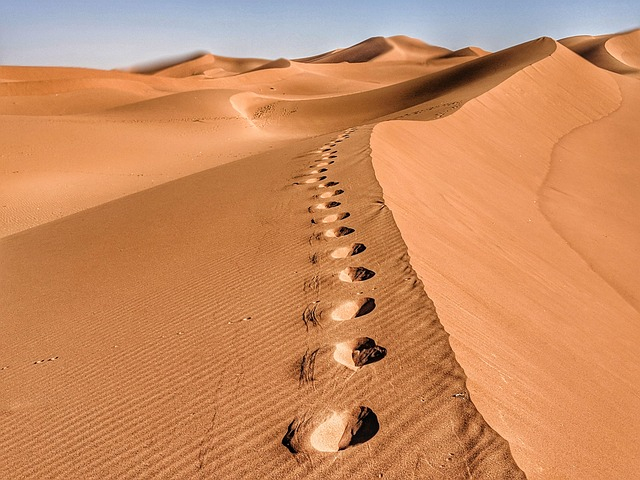 Yang Sebaiknya Tidak Dilakukan Saat Desert Safari: Etika, Keselamatan, dan Kesalahan Umum