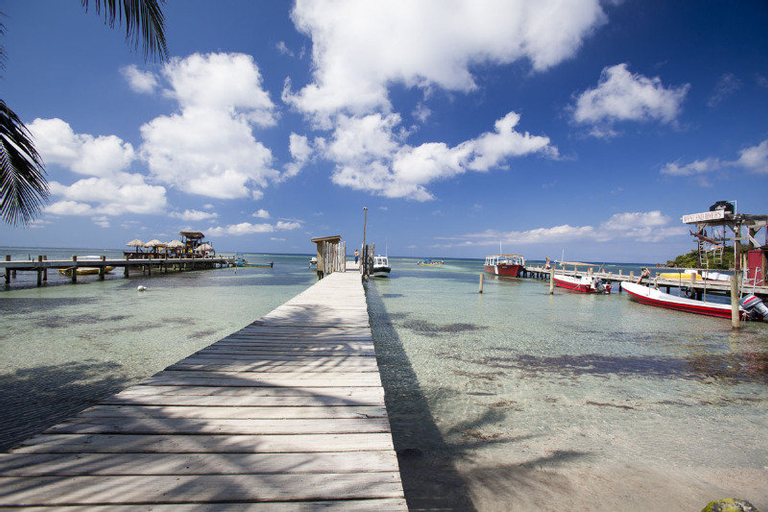 Splash Inn Dive Resort, Roatán