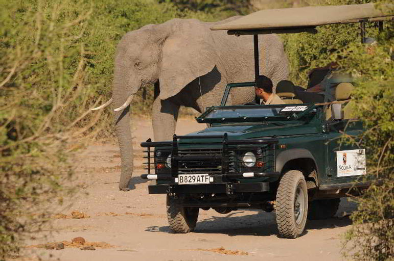 Ngoma Safari Lodge, Chobe