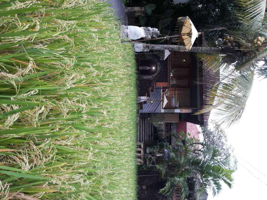 Bali Putra Villa, Gianyar