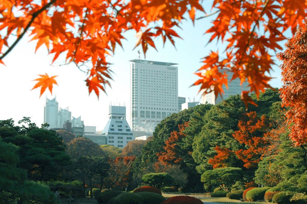 Century Southern Tower Hotel, Shinjuku