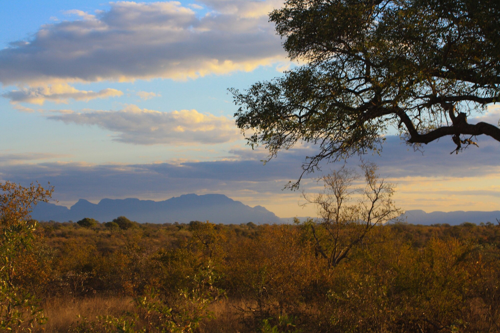 Baobab Ridge Private Lodge, Ehlanzeni